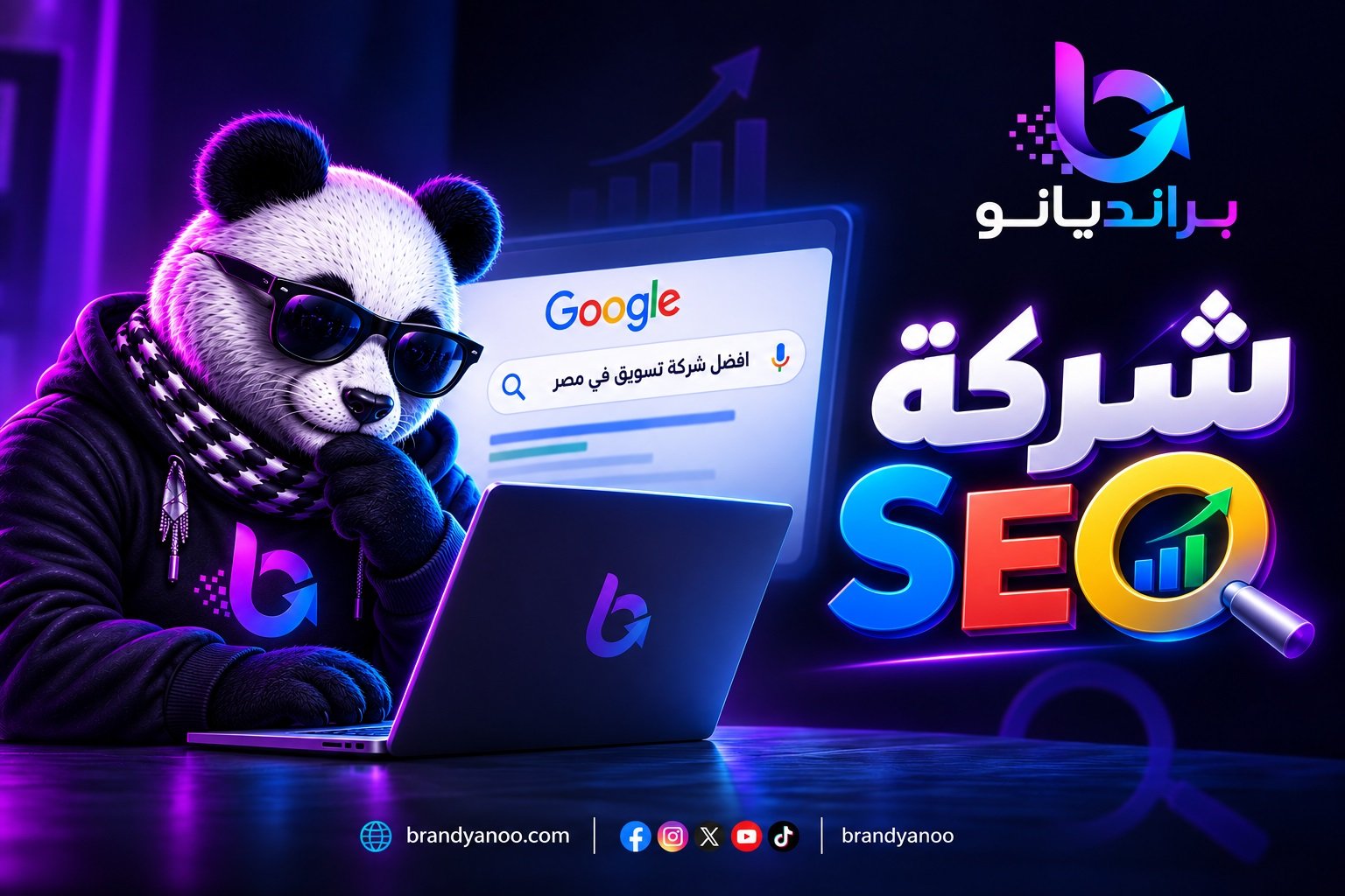 شركة سيو seo ، شركة ارشفة مواقع ، شركة سيو في مصر، أفضل شركة سيو